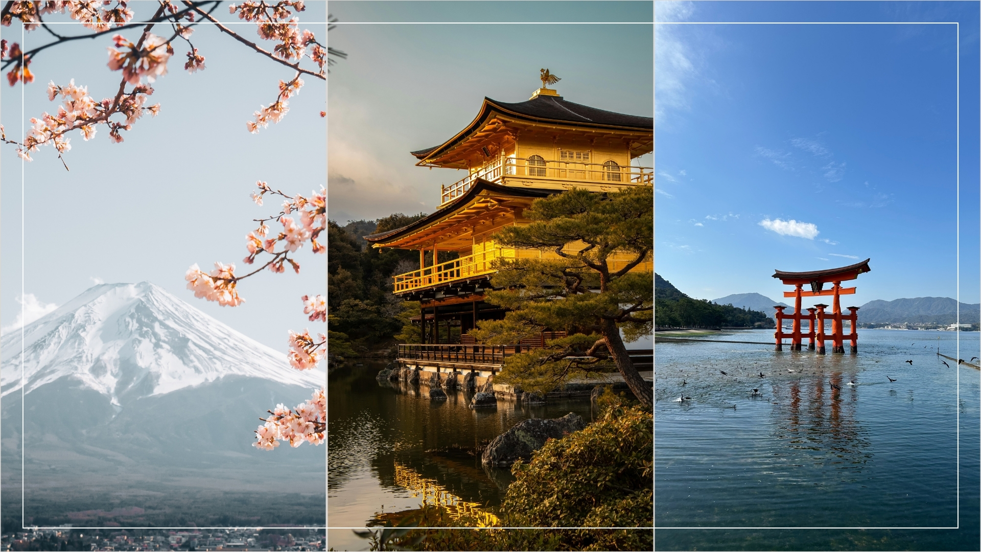 Japón